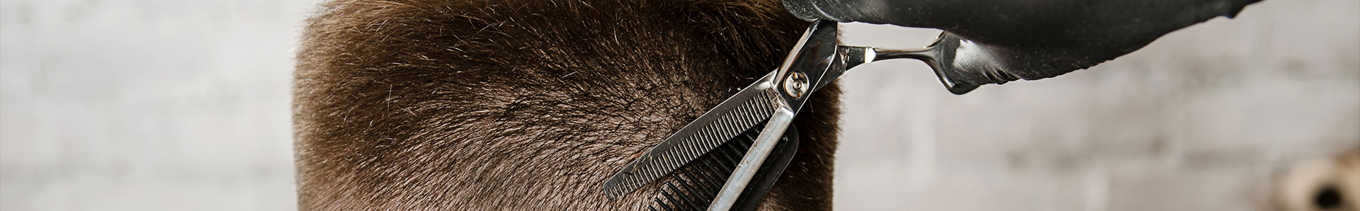 Coiffeur pour hommes à Melun